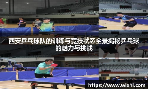 完美体育
