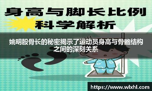 完美体育在线入口官网