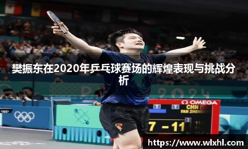樊振东在2020年乒乓球赛场的辉煌表现与挑战分析